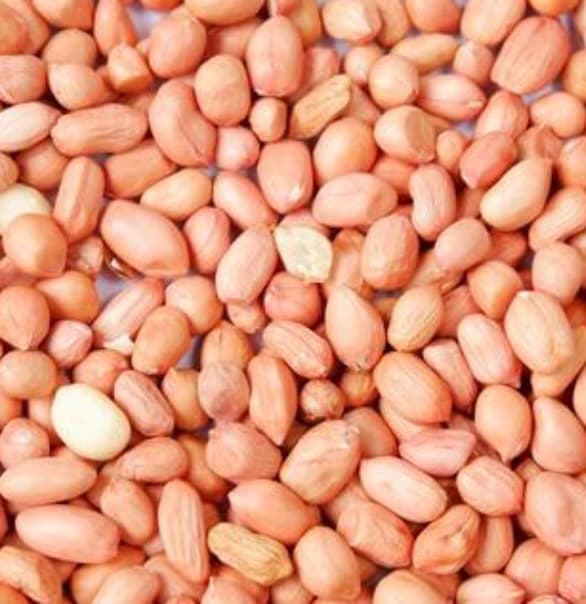 Nuts category texture